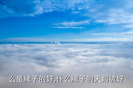 么是牌子的好,什么牌子的天鹅绒好