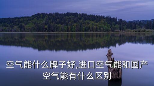 进口空气能什么牌子好,进口空气能和国产空气能有什么区别?