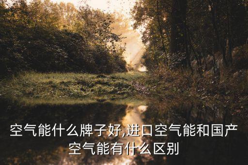 空气能什么牌子好,进口空气能和国产空气能有什么区别