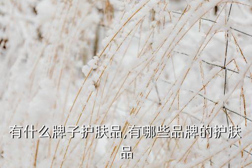 有什么牌子护肤品,有哪些品牌的护肤品
