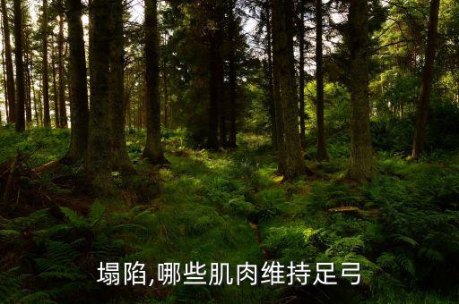 横弓塌陷,哪些肌肉维持足弓?