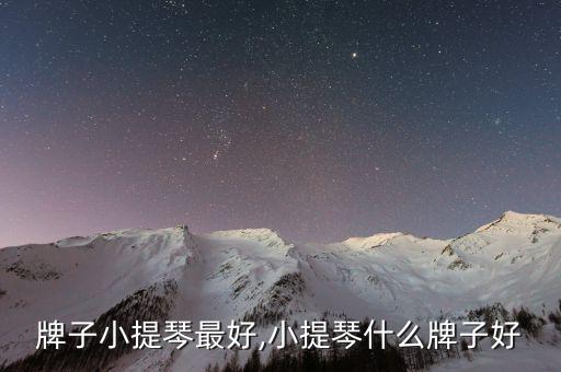 牌子小提琴最好,小提琴什么牌子好
