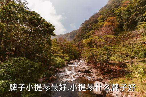 什么牌子小提琴最好,小提琴什么牌子好?