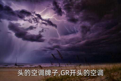 r开头的空调牌子,GR开头的空调