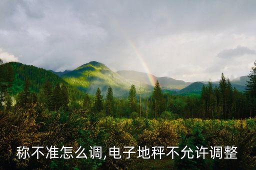 落地称不准怎么调,电子地秤不允许调整