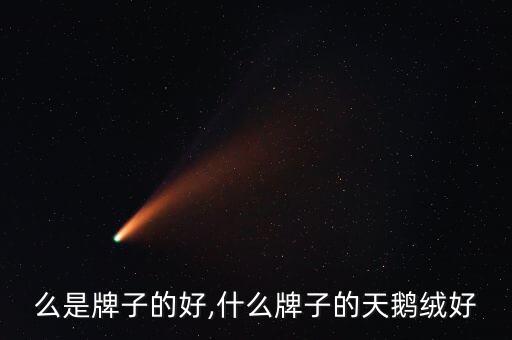 么是牌子的好,什么牌子的天鹅绒好