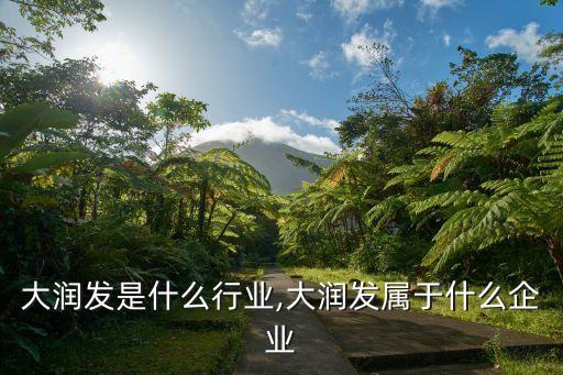 大润发是什么行业,大润发属于什么企业