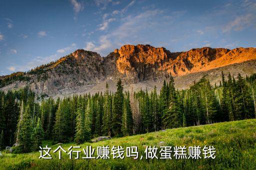 这个行业赚钱吗,做蛋糕赚钱