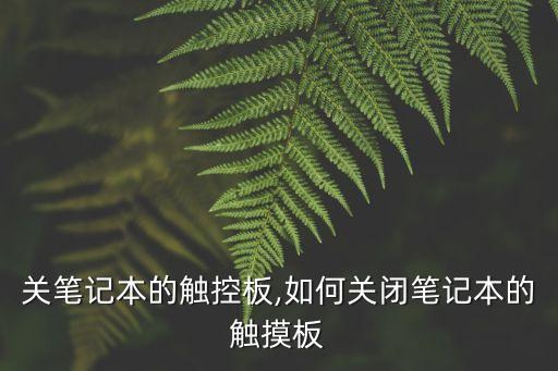 关笔记本的触控板,如何关闭笔记本的触摸板