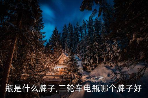 水电瓶是什么牌子,三轮车电瓶哪个牌子好?