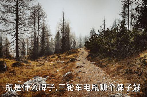 瓶是什么牌子,三轮车电瓶哪个牌子好
