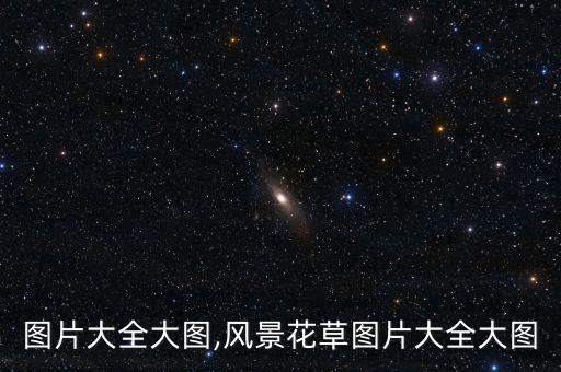 花草图片大全大图,风景花草图片大全大图