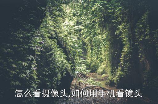 怎么看摄像头,如何用手机看镜头