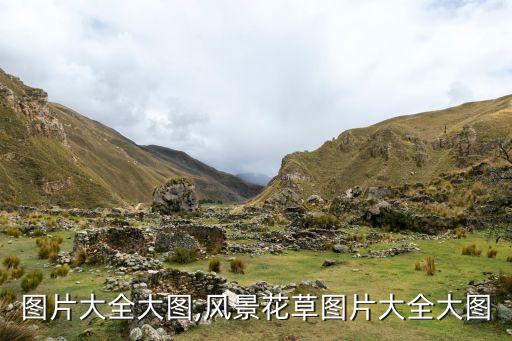 图片大全大图,风景花草图片大全大图
