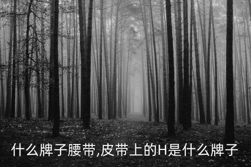 h是什么牌子腰带,皮带上的H是什么牌子?
