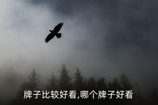 哪种牌子比较好看,哪个牌子好看?