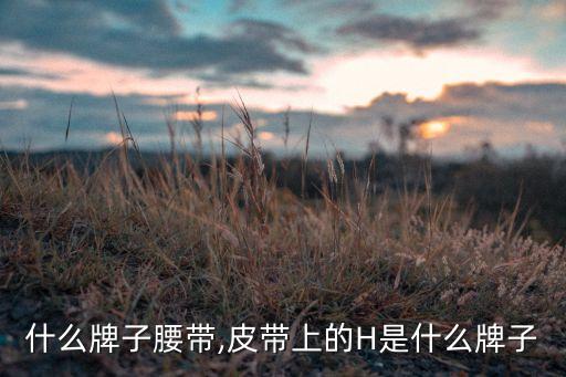 什么牌子腰带,皮带上的H是什么牌子