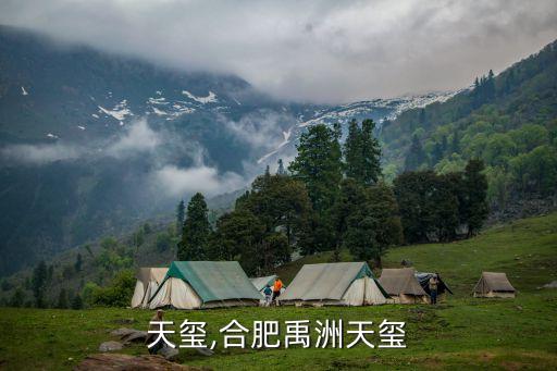 天玺,合肥禹洲天玺