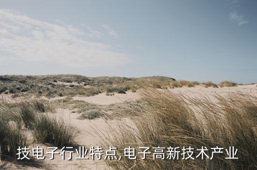 技电子行业特点,电子高新技术产业