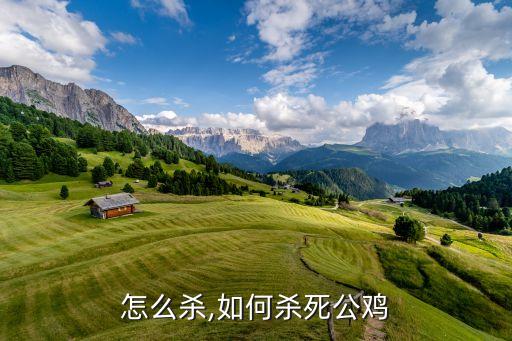 公鸡怎么杀,如何杀死公鸡