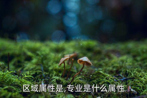 区域属性是,专业是什么属性