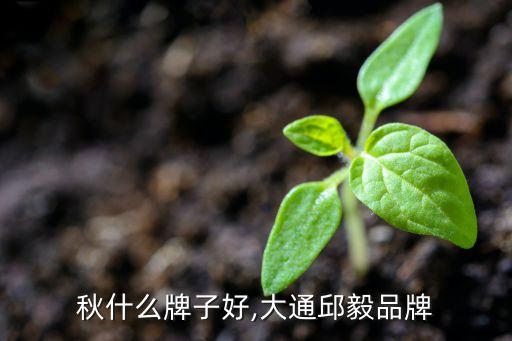 秋什么牌子好,大通邱毅品牌