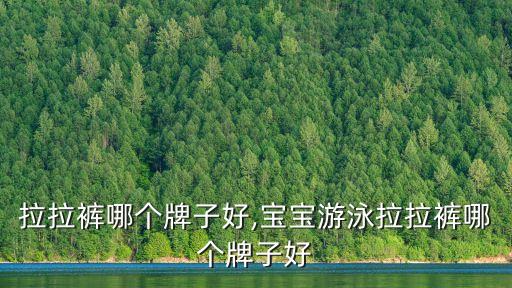 拉拉裤哪个牌子好,宝宝游泳拉拉裤哪个牌子好