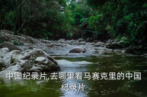 极致中国纪录片,去哪里看马赛克里的中国纪录片?