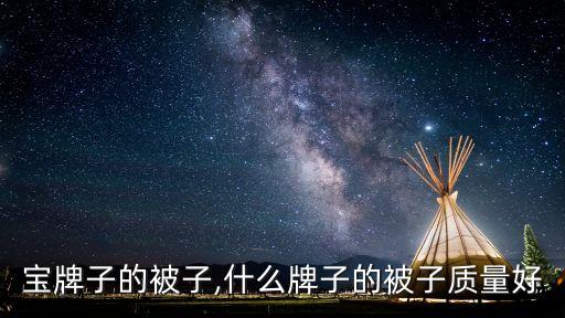宝牌子的被子,什么牌子的被子质量好