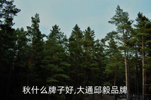 秋什么牌子好,大通邱毅品牌