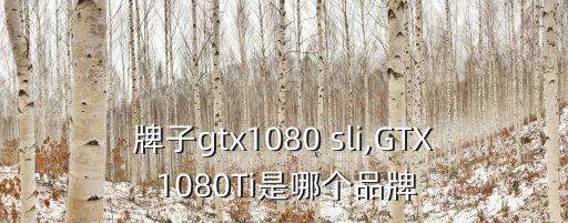 牌子gtx1080 sli,GTX 1080Ti是哪个品牌