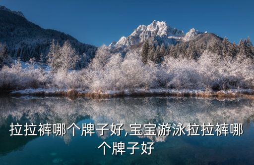 游泳拉拉裤哪个牌子好,宝宝游泳拉拉裤哪个牌子好