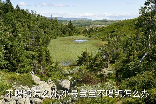 不喝钙怎么办,小号宝宝不喝钙怎么办