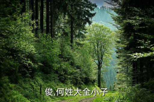 俊,何姓大全小子