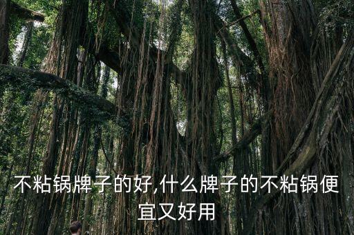 不粘锅牌子的好,什么牌子的不粘锅便宜又好用