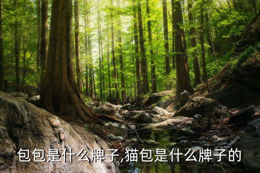 小猫包包是什么牌子,猫包是什么牌子的?