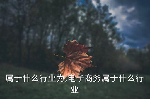 电商属于什么行业为,电子商务属于什么行业?