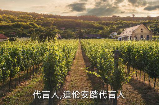 安踏代言人,迪伦安踏代言人