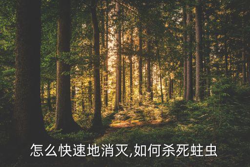衣蛾怎么快速地消灭,如何杀死蛀虫?
