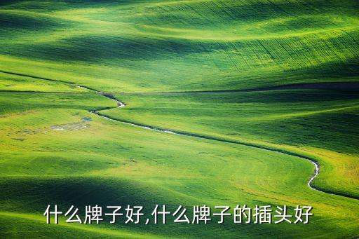 力排什么牌子好,什么牌子的插头好?