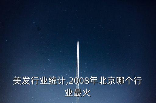 北京美发行业统计,2008年北京哪个行业最火?