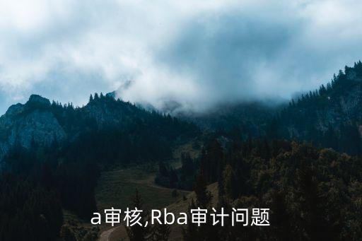 rba审核,Rba审计问题