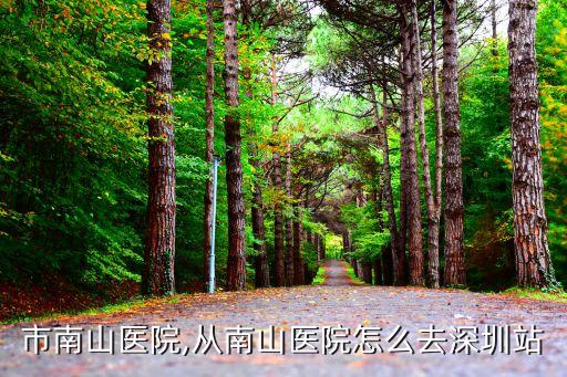 市南山医院,从南山医院怎么去深圳站