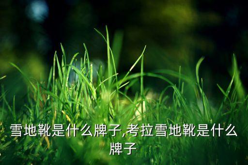 dk雪地靴是什么牌子,考拉雪地靴是什么牌子?