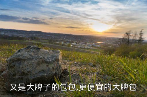 又是大牌子的包包,更便宜的大牌包