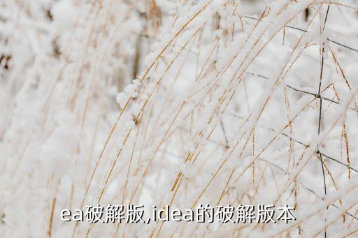 idea破解版,idea的破解版本
