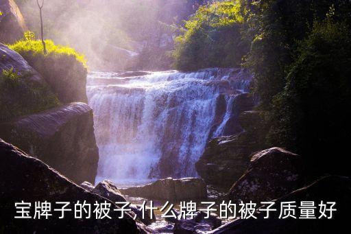 睡冬宝牌子的被子,什么牌子的被子质量好?