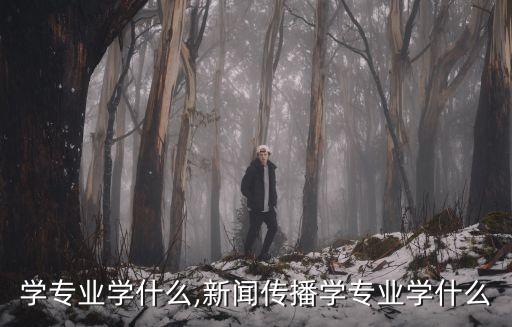学专业学什么,新闻传播学专业学什么