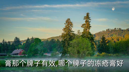冻疮膏那个牌子有效,哪个牌子的冻疮膏好?