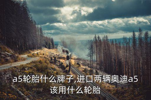 奥迪a5轮胎什么牌子,进口两辆奥迪a5该用什么轮胎?
